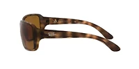 RB4068 Polarized Sunglasses