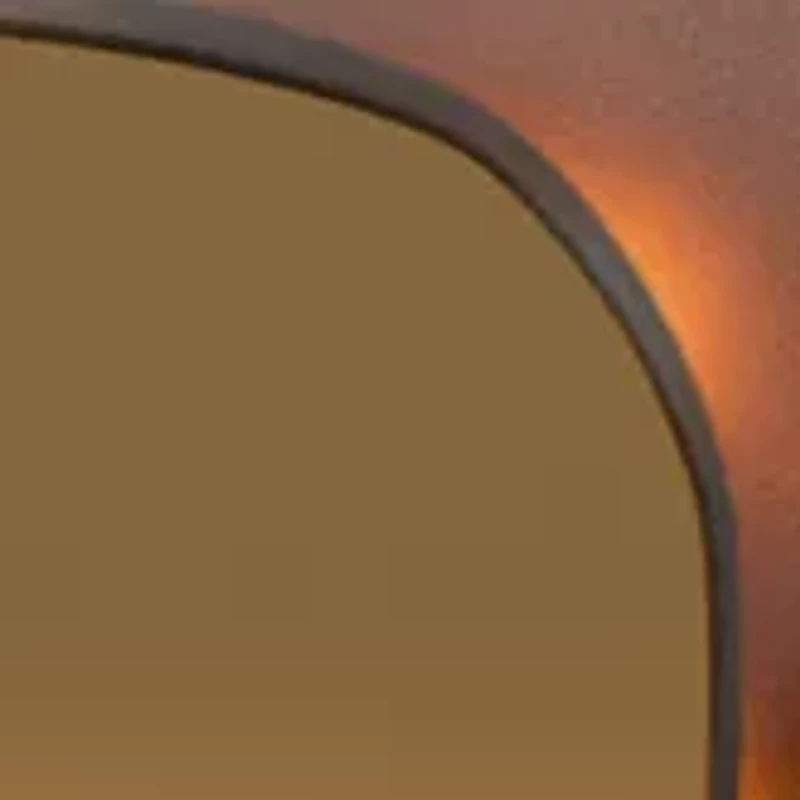 Plastic Wayfarer Sunglasses