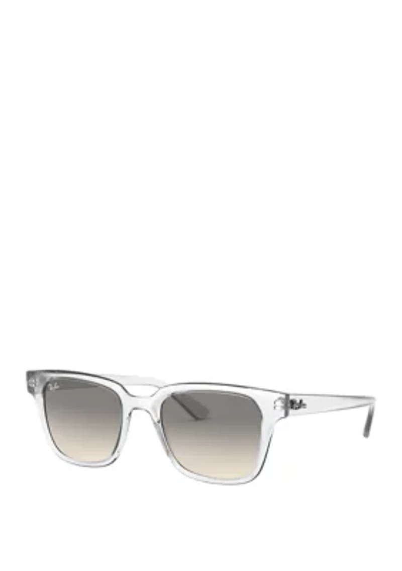 Plastic Wayfarer Sunglasses