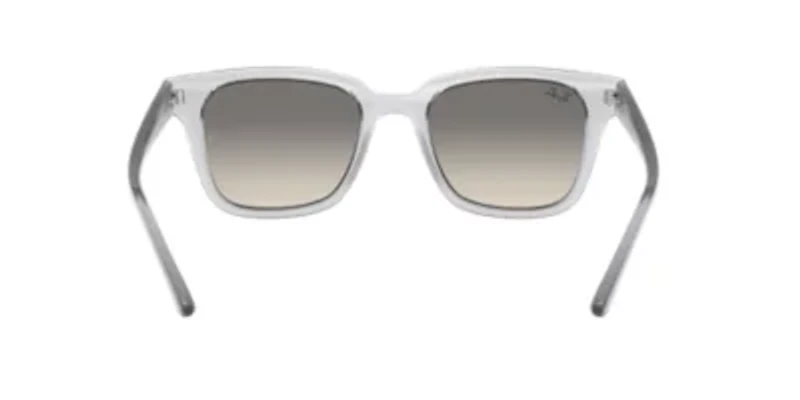 Plastic Wayfarer Sunglasses