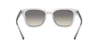 Plastic Wayfarer Sunglasses