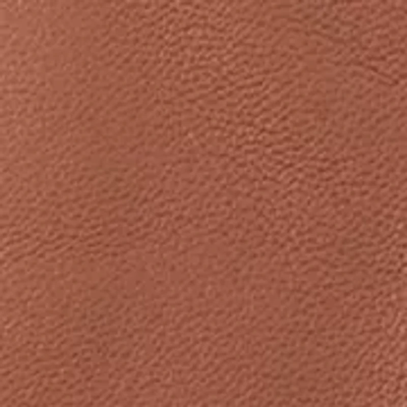 Leather 2 Button Touch Gloves