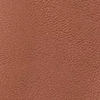 Leather 2 Button Touch Gloves