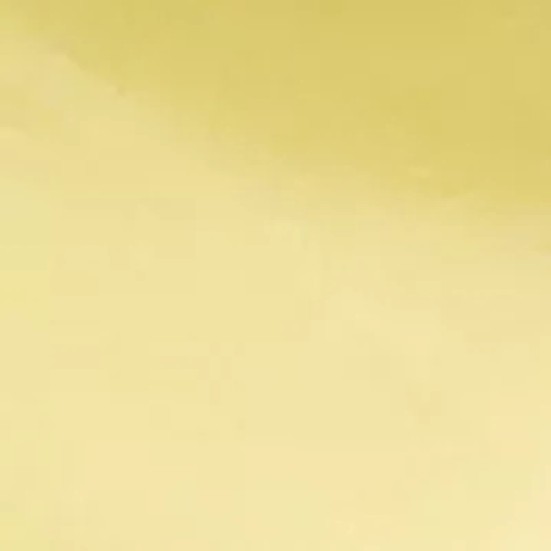 Paisley Print Small Scarf