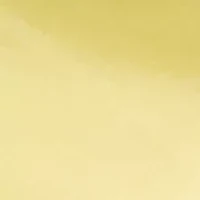 Paisley Print Small Scarf