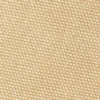 Canvas Fedora