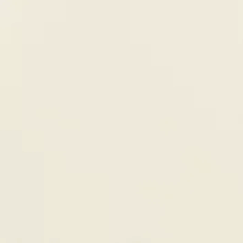 Crossbody Bag with Tassel Charm