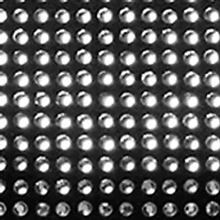 Colby Studded Shoulder Bag