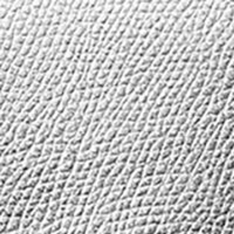 Carmine Medium East West Clutch