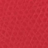 Jet Set Small Zipped Card Case 