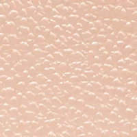 Jet Set Small Zip Around Card Case