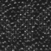 Jet Set Small Zipped Card Case