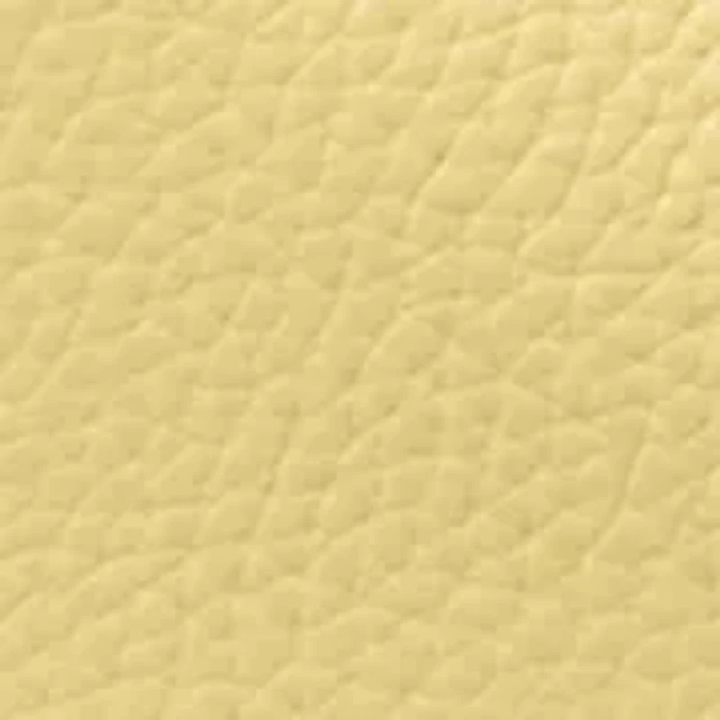 Nolita Medium Chain Pouchette Bag