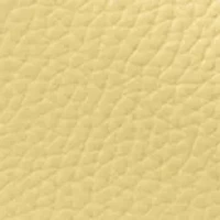 Nolita Medium Chain Pouchette Bag