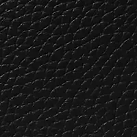 Bryant Medium Double Zip Chain Camera Crossbody