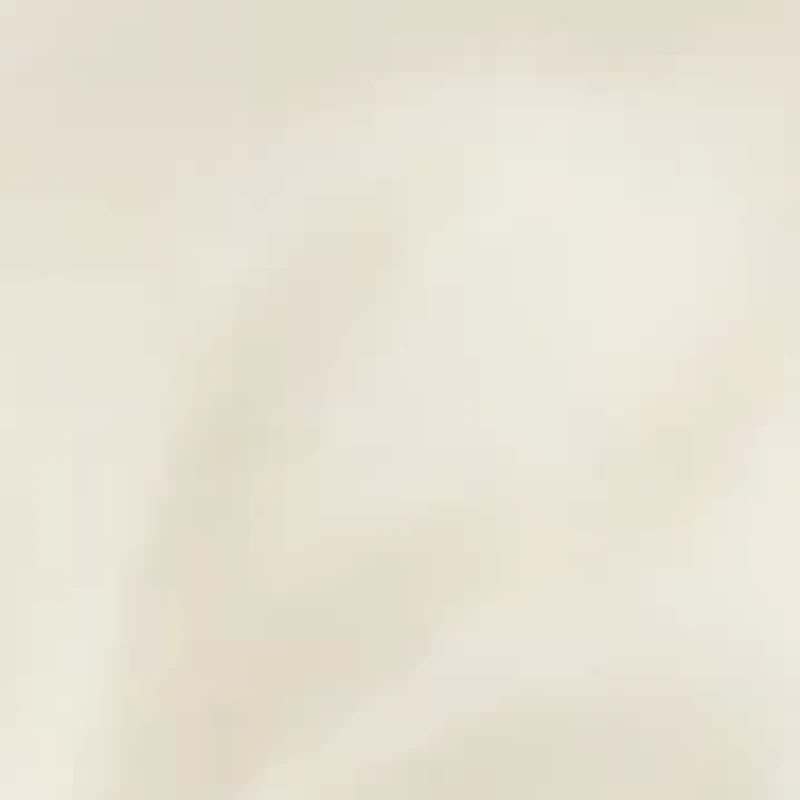 Satin Pashmina Self Fringe Scarf