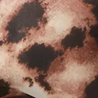 Ombre Animal Poly Square Scarf