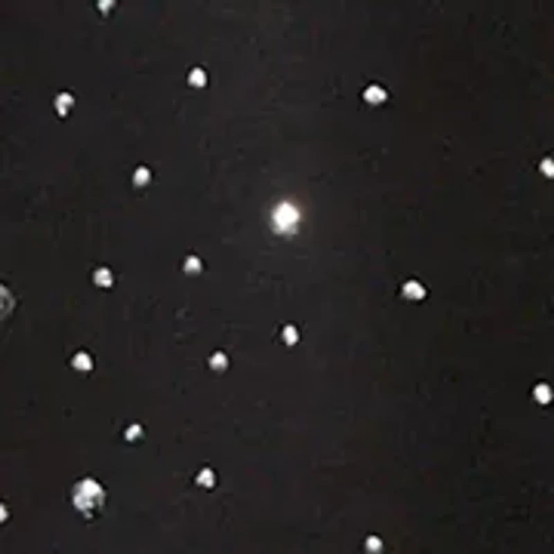 Embellished Sheer Scarf