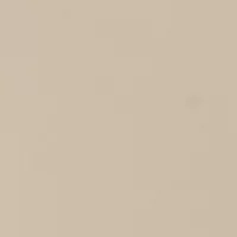 Horse Bit Loop Buckle