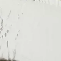 Perforated Belt with Drop Loops