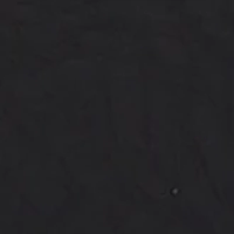 1.1 Inch Logo Double Ring Belt