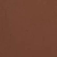 Reversible Twisted Double Loop Belt