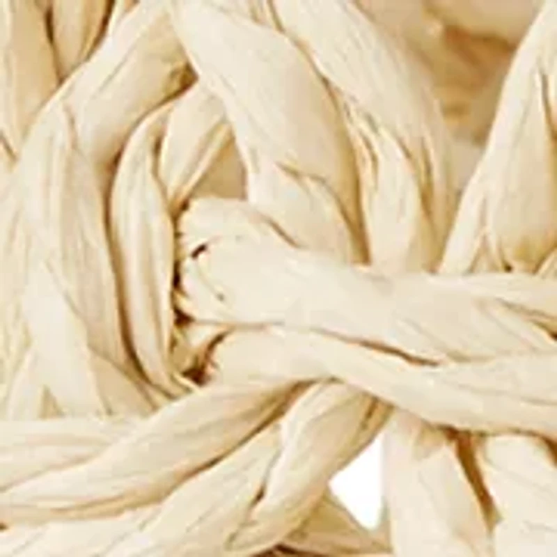 Woven Straw Belt with Organic Buckle