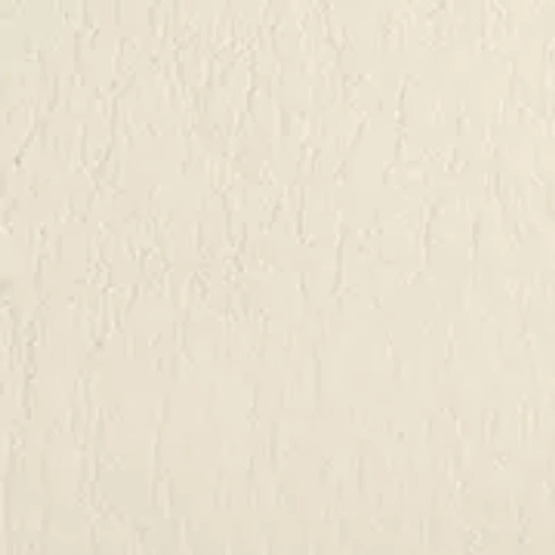 40 Millimeter Western Buckle Belt