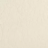 40 Millimeter Western Buckle Belt