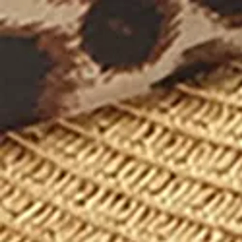 Women's Tie Back Chiffon Visor