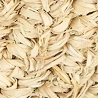 Straw Fringe Half Moon Crossbody 