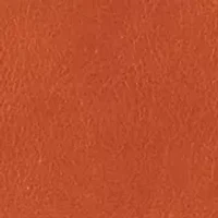 Small Kiley Hobo Bag