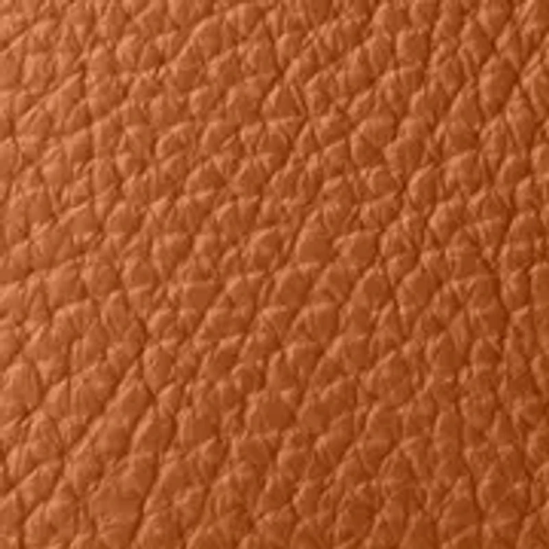 Lucca Ginger Crossbody Bag