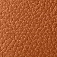 Lucca Ginger Crossbody Bag