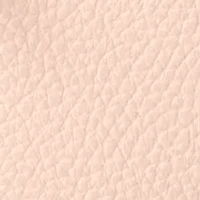 Lucca Ginger Crossbody Bag