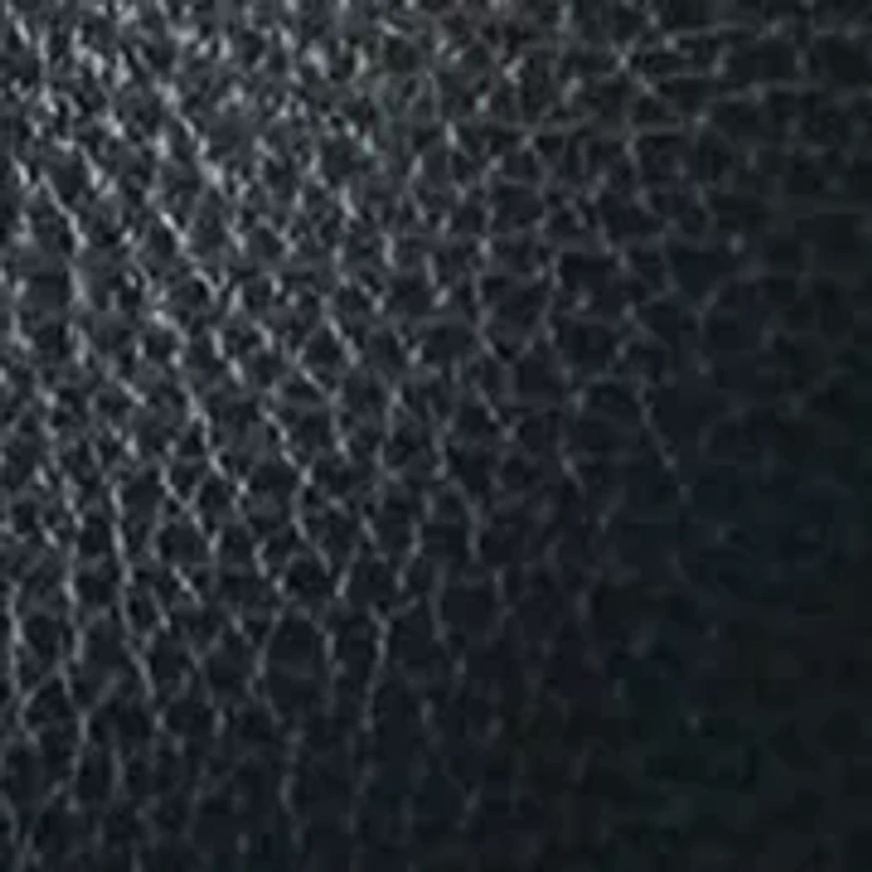 Lucca Leather Hobo Bag