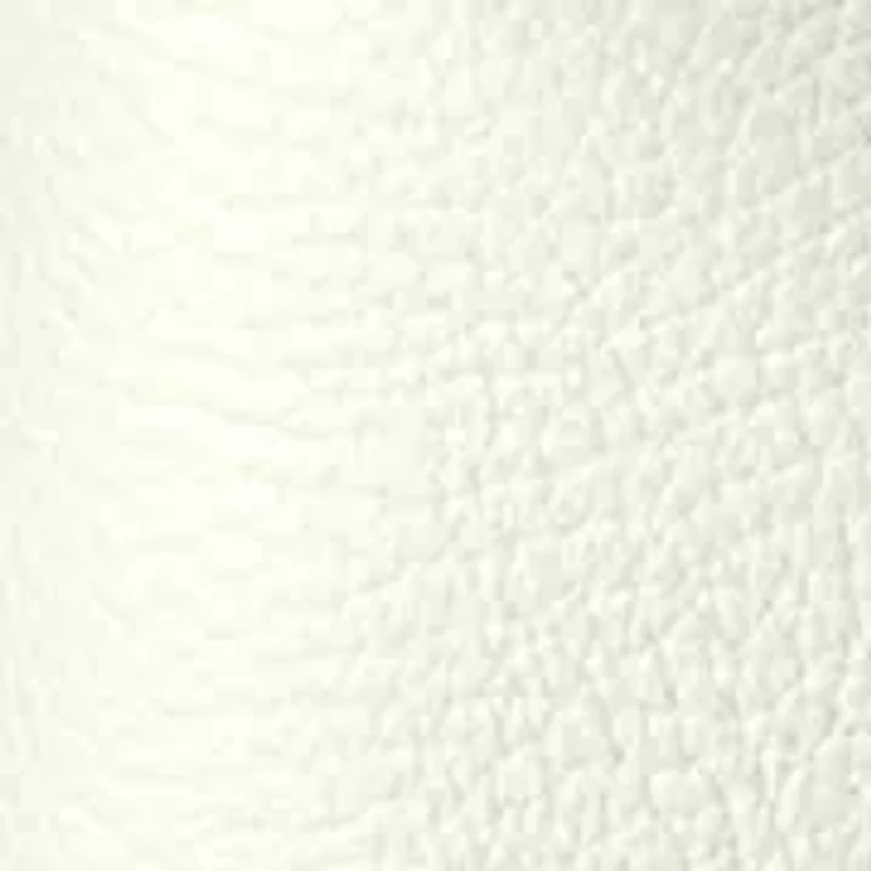 Lucca Leather Hobo Bag