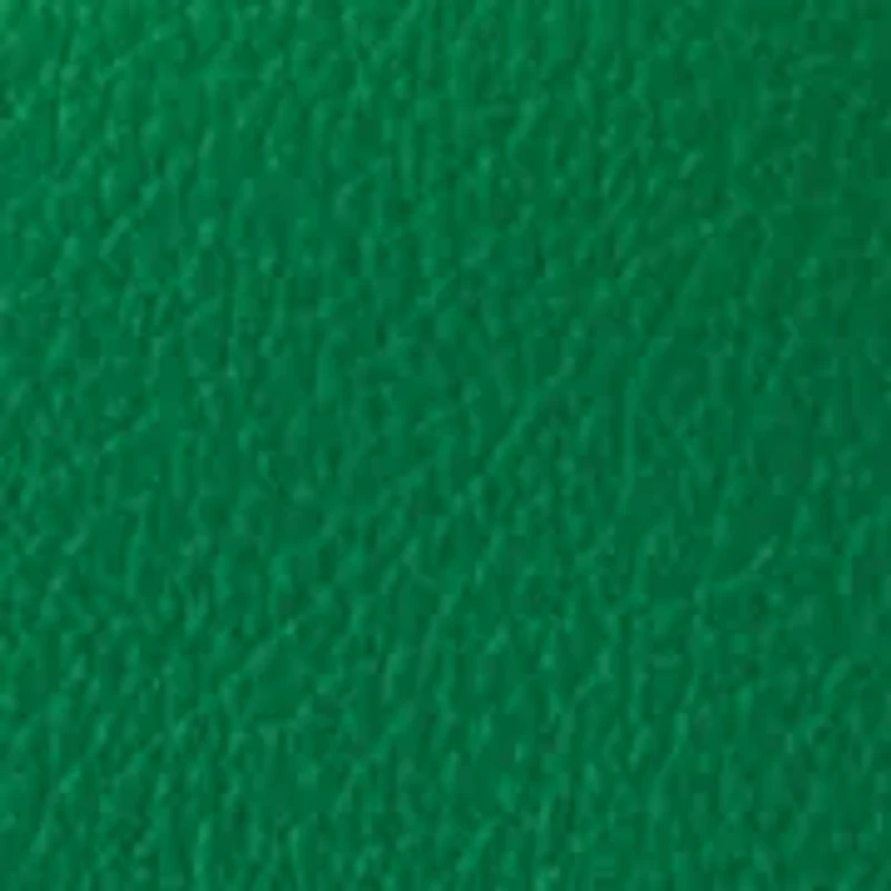 Lucca Leather Hobo Bag