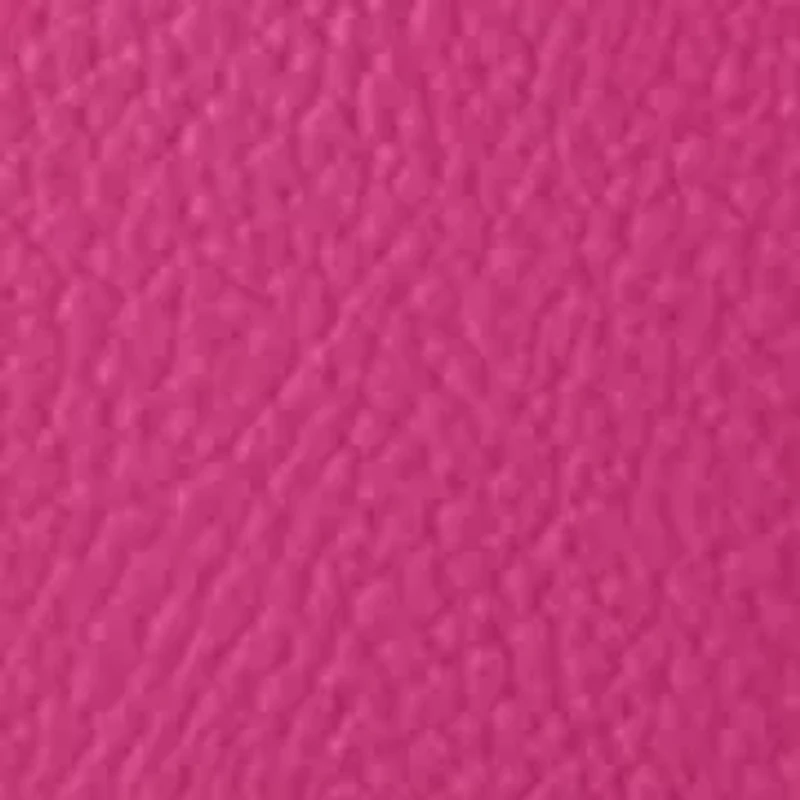 Lucca Leather Hobo Bag