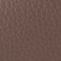 Lucca Leather Hobo Bag