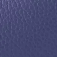 Lucca Leather Hobo Bag