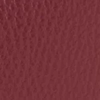 Lucca Leather Hobo Bag