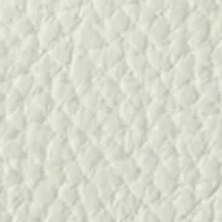 Lucca Small Satchel Crossbody Bag