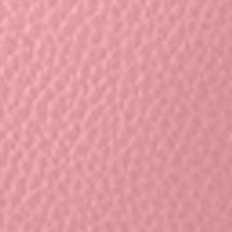 Lucca Small Jessie Tote Bag