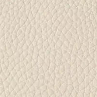 Pebble Leather Small Russle Tote