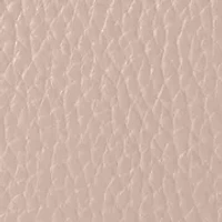 Pebble Grain Presley Crossbody Bag