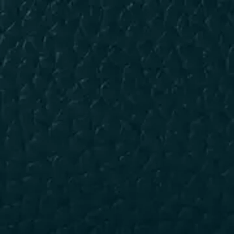 Pebble Grain Camera Crossbody Bag