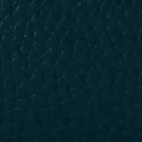 Pebble Grain Camera Crossbody Bag