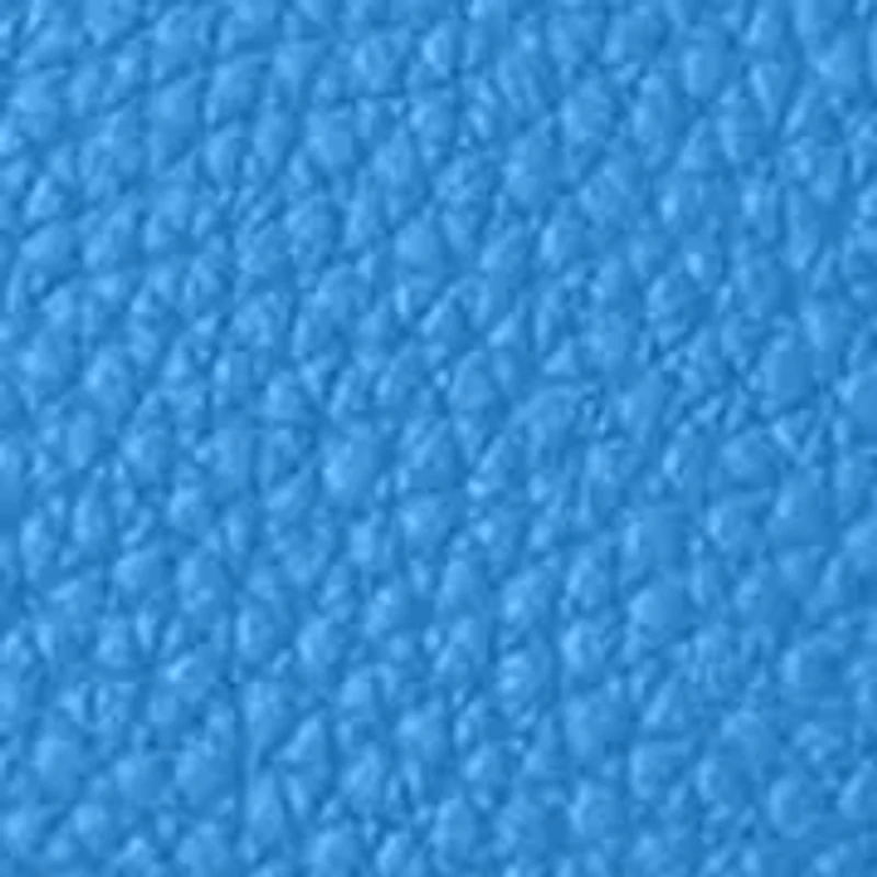 Pebble Leather Small Hobo Bag