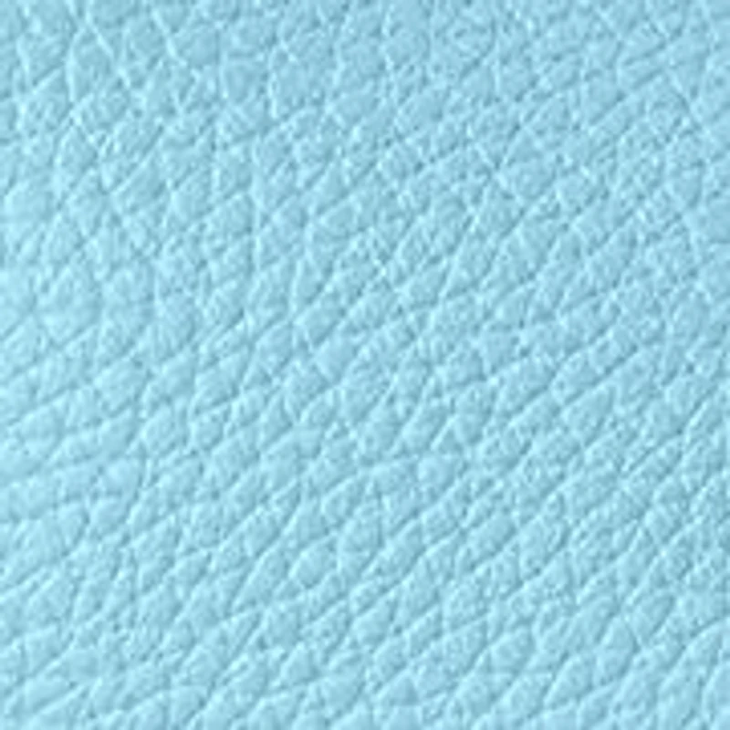 Pebble Grain Small Hobo Bag